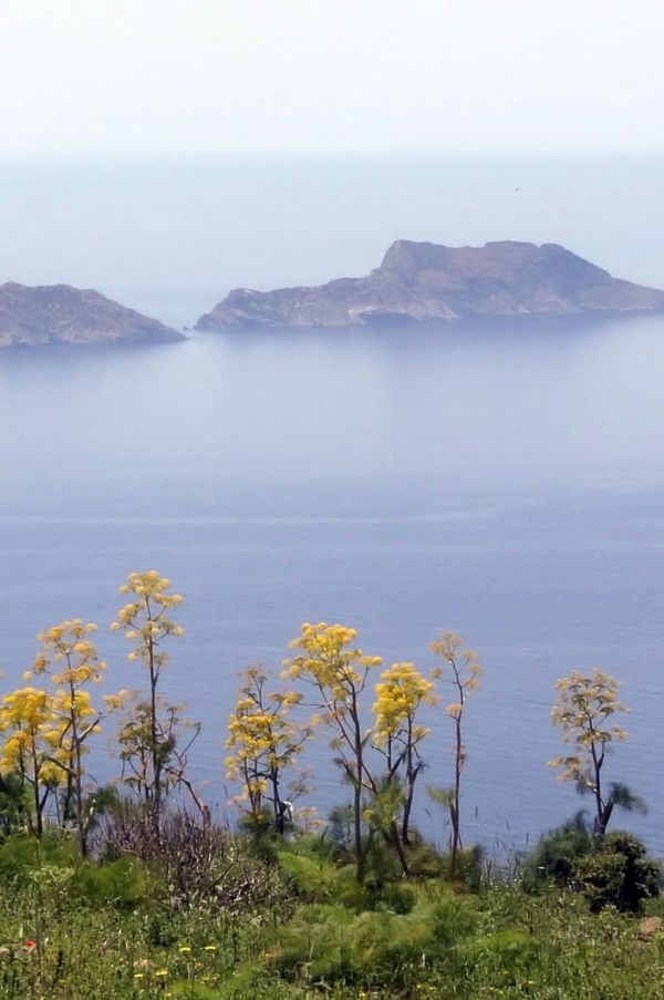 Νήσοι Παξιμάδια