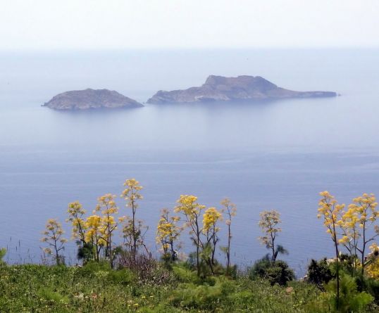 Νήσοι Παξιμάδια